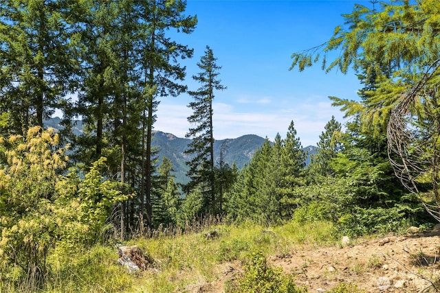0 Carillon Cove Dr, Ronald, WA 98940 - photo 6