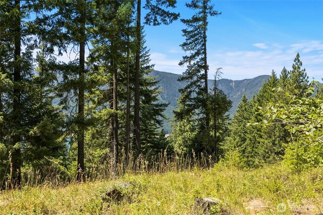 0 Carillon Cove Dr, Ronald, WA 98940 - photo 8