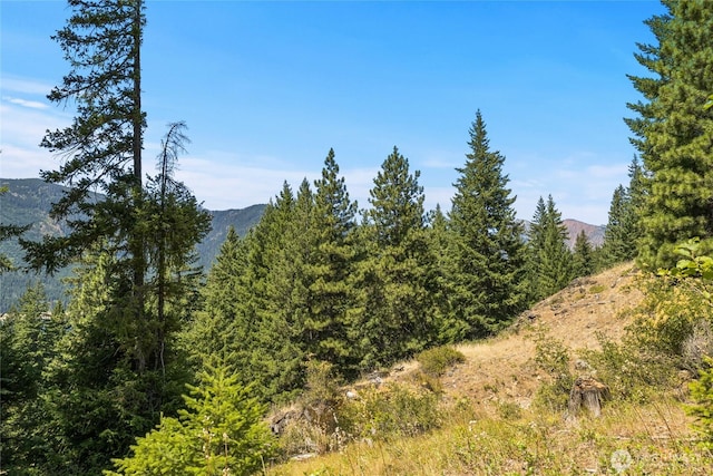 0 Carillon Cove Dr, Ronald, WA 98940 - photo 9