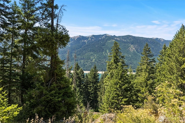 0 Carillon Cove Dr, Ronald, WA 98940 - photo 10