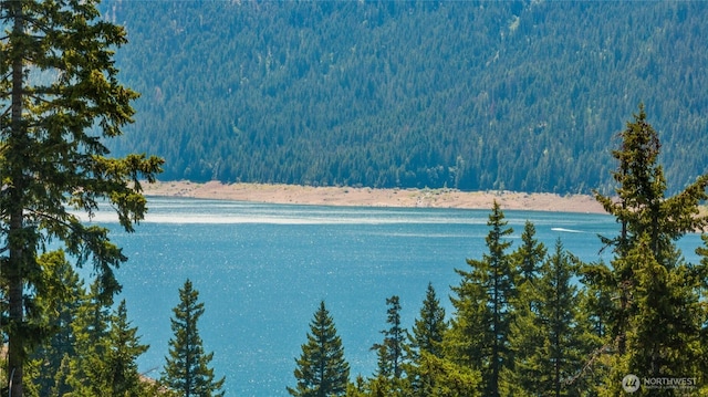 0 Carillon Cove Dr, Ronald, WA 98940 - photo 22
