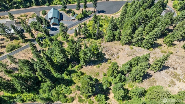 0 Carillon Cove Dr, Ronald, WA 98940 - photo 26