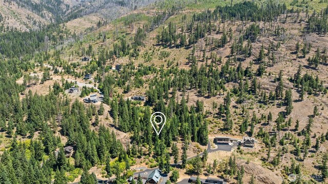 0 Carillon Cove Dr, Ronald, WA 98940 - photo 28