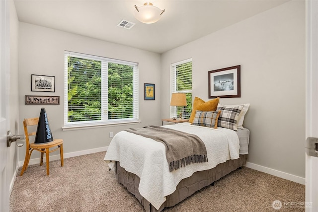 490 Mount Constance Way, Port Ludlow, WA 98365 - photo 21