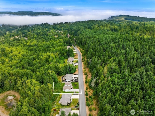 490 Mount Constance Way, Port Ludlow, WA 98365 - photo 28