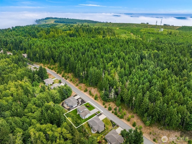 490 Mount Constance Way, Port Ludlow, WA 98365 - photo 29