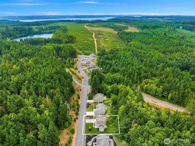 490 Mount Constance Way, Port Ludlow, WA 98365 - photo 31