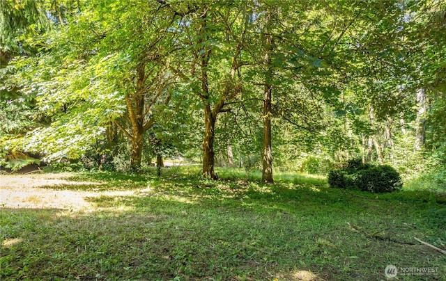 111 Spring Ct, Vader, WA 98593 - photo 6