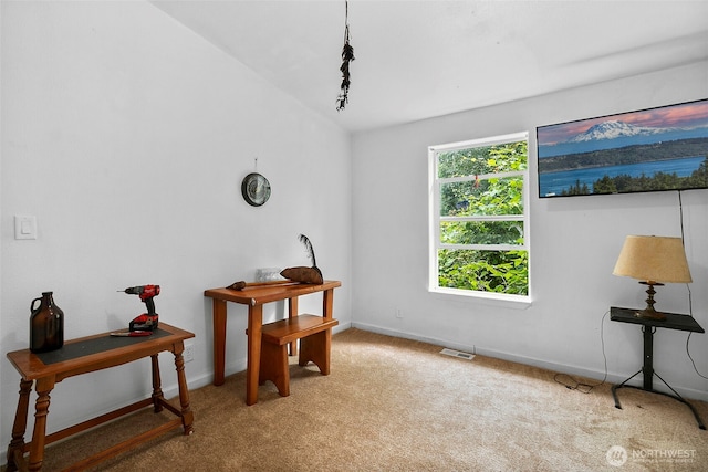 33922 SE 348th St, Enumclaw, WA 98022 - photo 25