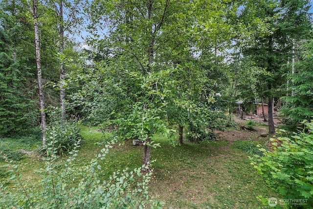 33922 SE 348th St, Enumclaw, WA 98022 - photo 39