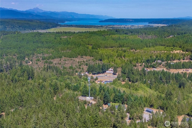 1050 W California Rd, Shelton, WA 98584 - photo 34
