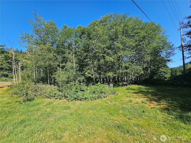19963 Hwy 112, Clallam Bay, WA 98326 - photo 13