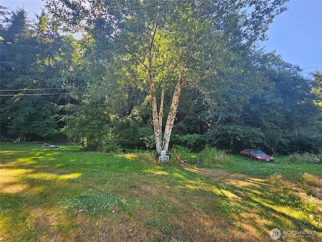 19963 Hwy 112, Clallam Bay, WA 98326 - photo 15