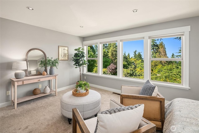 7032 SE 20th St, Mercer Island, WA 98040 - photo 20