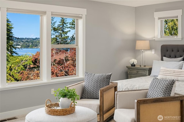 7032 SE 20th St, Mercer Island, WA 98040 - photo 21