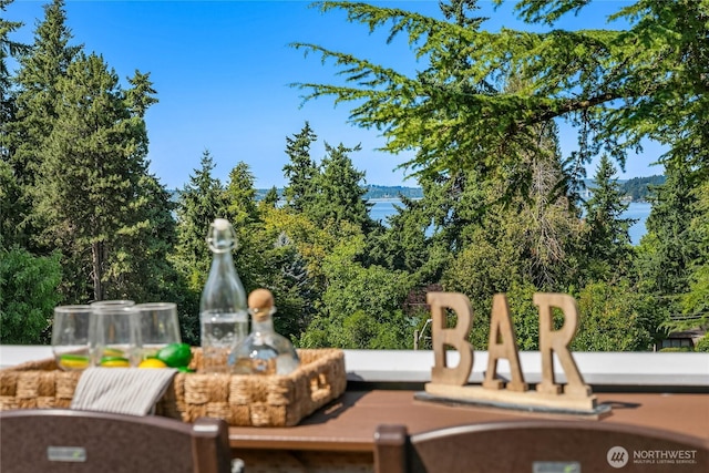 7032 SE 20th St, Mercer Island, WA 98040 - photo 30