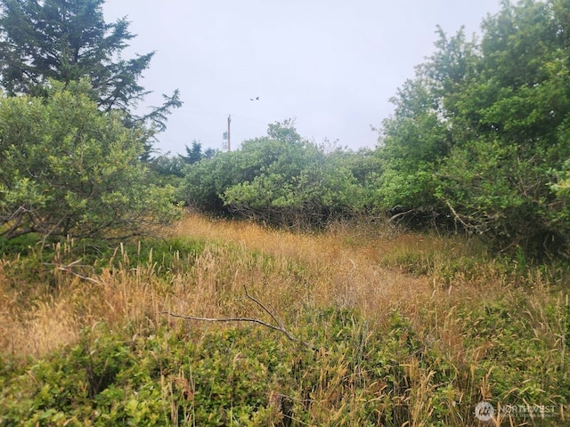 442 Canal Dr NE, Ocean Shores, WA 98569 - photo 5