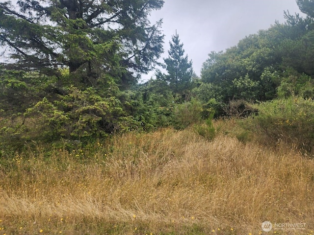 442 Canal Dr NE, Ocean Shores, WA 98569 - photo 8