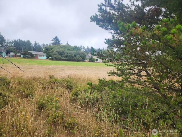 442 Canal Dr NE, Ocean Shores, WA 98569 - photo 10
