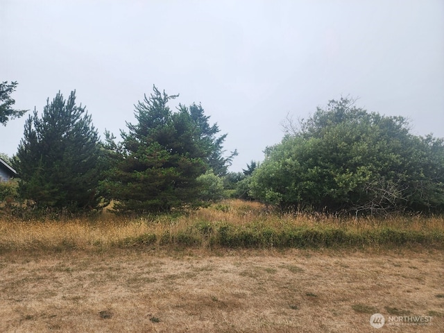 442 Canal Dr NE, Ocean Shores, WA 98569 - photo 4