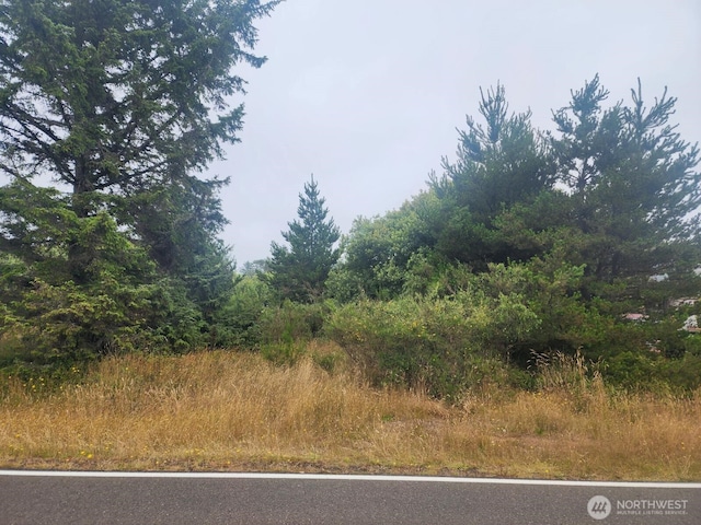 442 Canal Dr NE, Ocean Shores, WA 98569 - photo 13