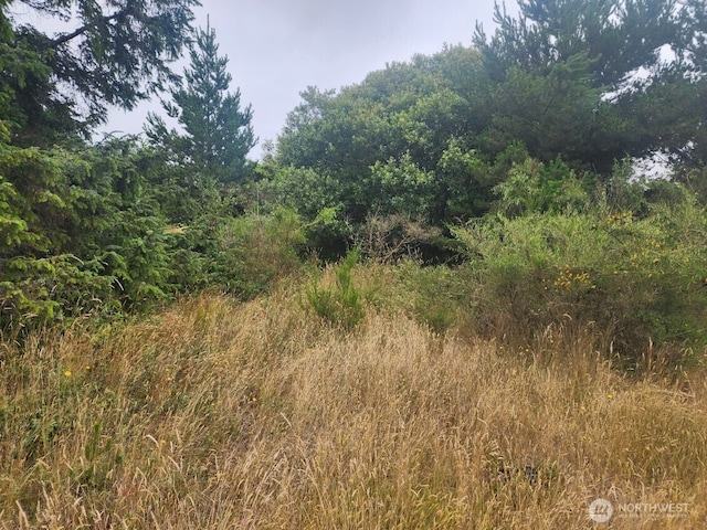 442 Canal Dr NE, Ocean Shores, WA 98569 - photo 14