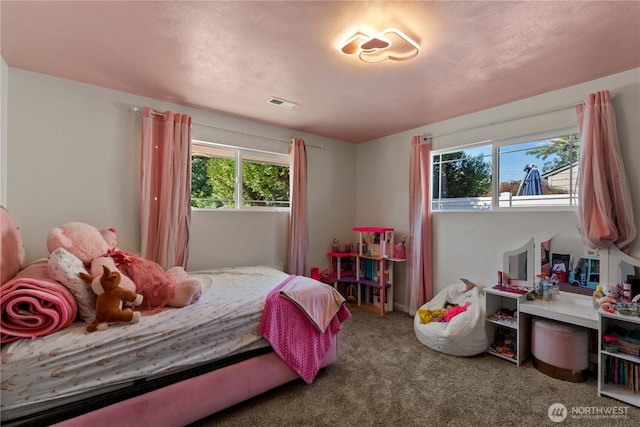 1248 Dakota St, Wenatchee, WA 98801 - photo 19