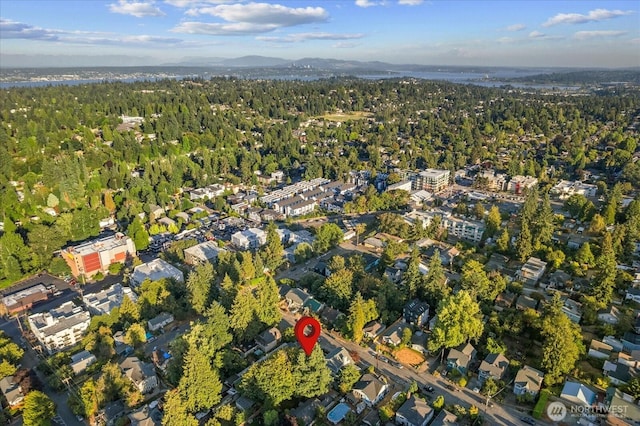 1742 NE 89th St, Seattle, WA 98115 - photo 30