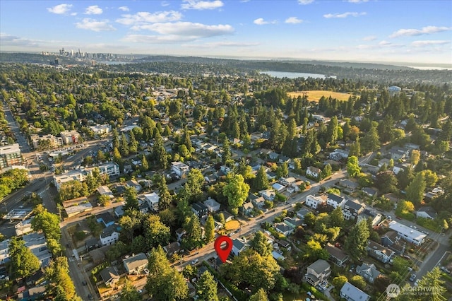 1742 NE 89th St, Seattle, WA 98115 - photo 31