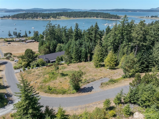 295 Rum Runner Rd, Lopez Island, WA 98261 - photo 2