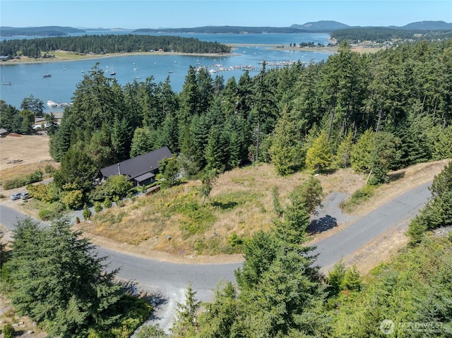 295 Rum Runner Rd, Lopez Island, WA 98261 - photo 3