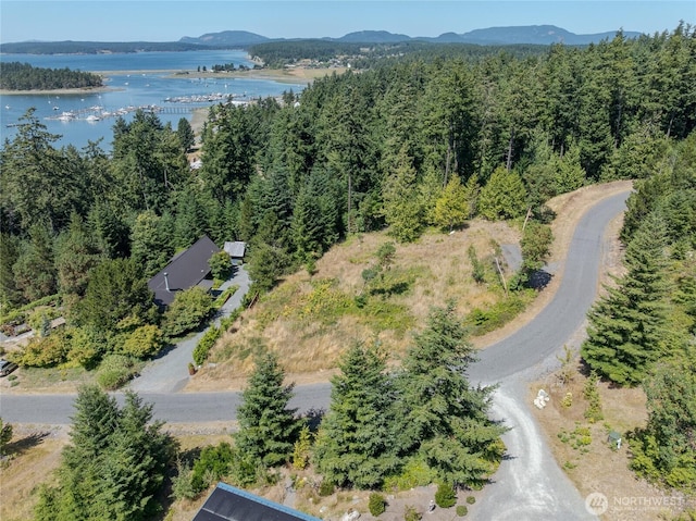 295 Rum Runner Rd, Lopez Island, WA 98261 - photo 4