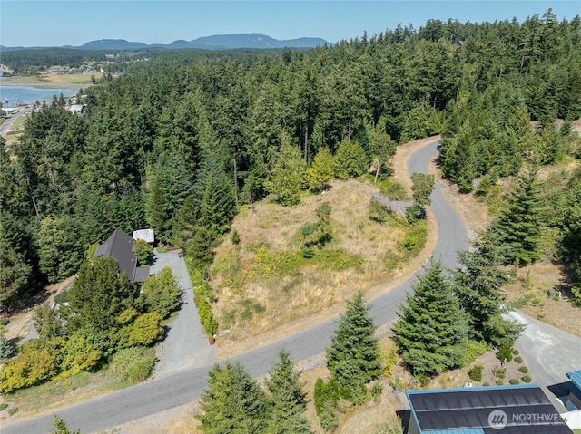 295 Rum Runner Rd, Lopez Island, WA 98261 - photo 5