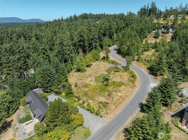 295 Rum Runner Rd, Lopez Island, WA 98261 - photo 6