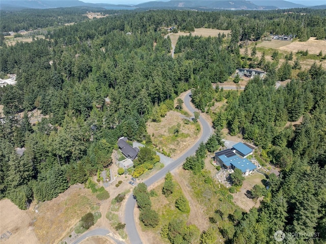 295 Rum Runner Rd, Lopez Island, WA 98261 - photo 9