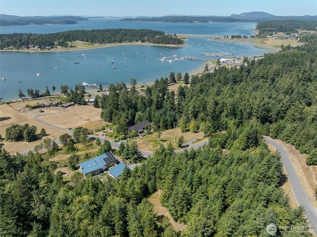 295 Rum Runner Rd, Lopez Island, WA 98261 - photo 11