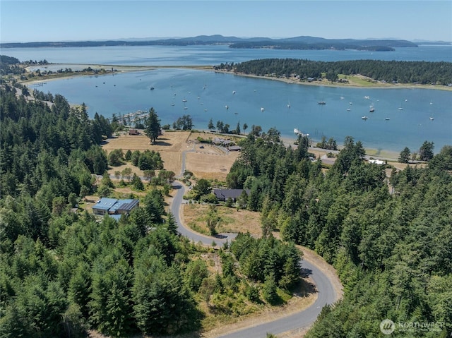 295 Rum Runner Rd, Lopez Island, WA 98261 - photo 12