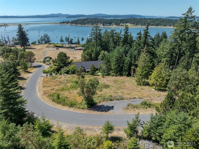 295 Rum Runner Rd, Lopez Island, WA 98261 - photo 13
