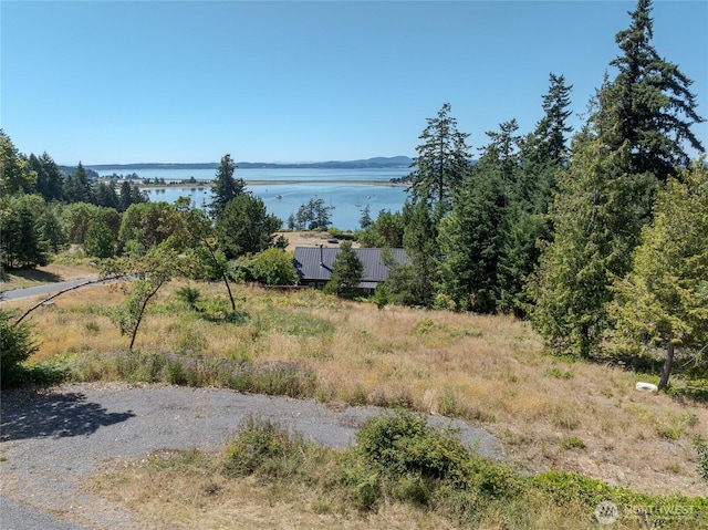 295 Rum Runner Rd, Lopez Island, WA 98261 - photo 14