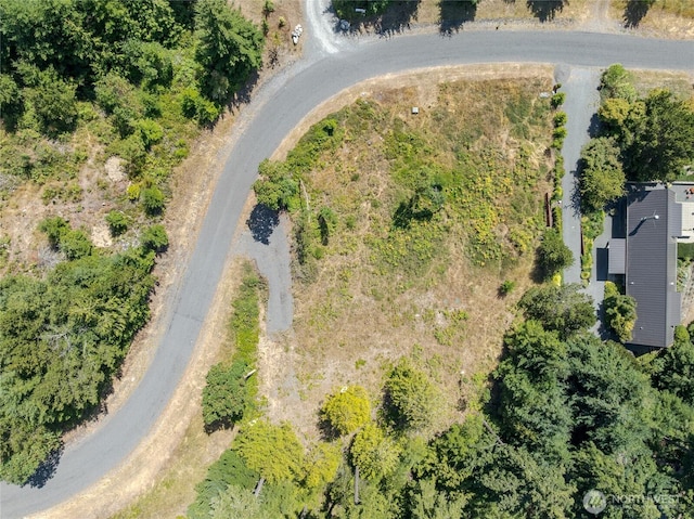 295 Rum Runner Rd, Lopez Island, WA 98261 - photo 15