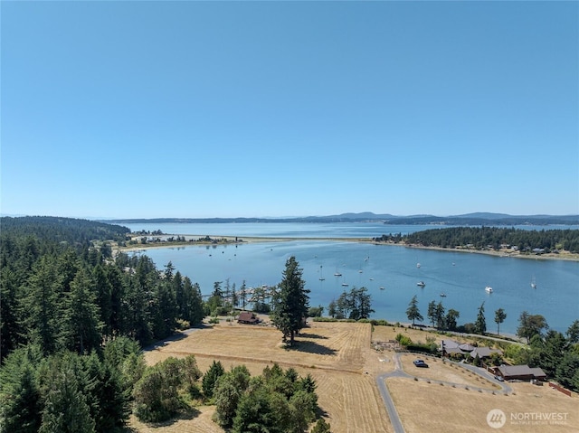 295 Rum Runner Rd, Lopez Island, WA 98261 - photo 16