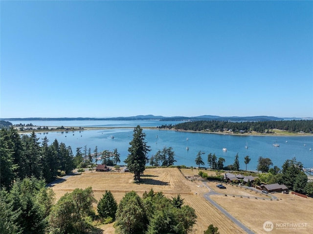 295 Rum Runner Rd, Lopez Island, WA 98261 - photo 17