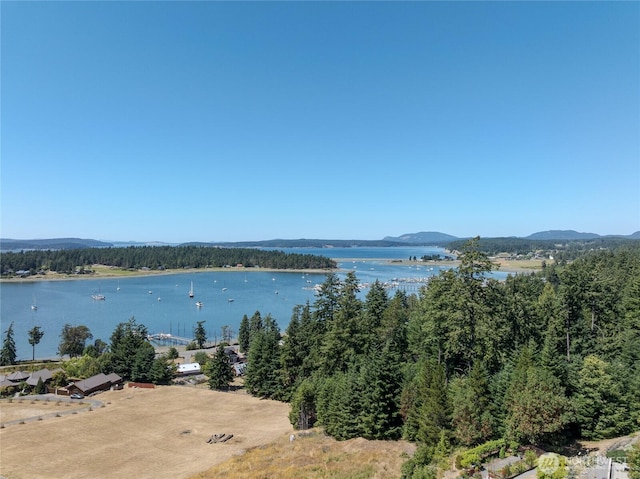 295 Rum Runner Rd, Lopez Island, WA 98261 - photo 18