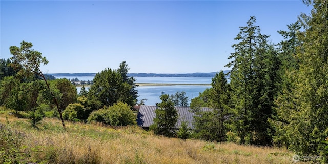 295 Rum Runner Rd, Lopez Island, WA 98261 - photo 19