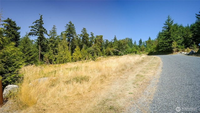 295 Rum Runner Rd, Lopez Island, WA 98261 - photo 20