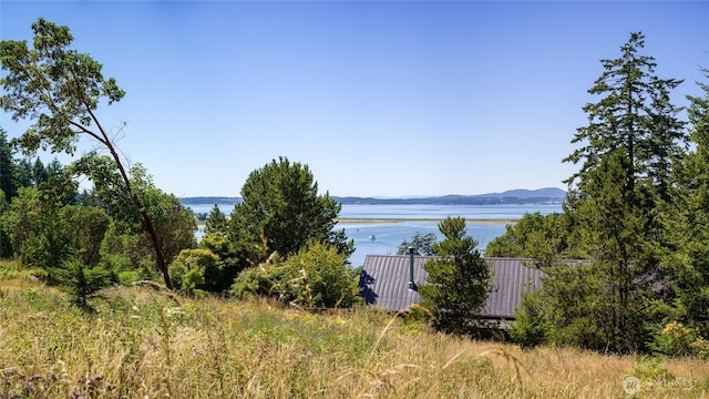 295 Rum Runner Rd, Lopez Island, WA 98261 - photo 21