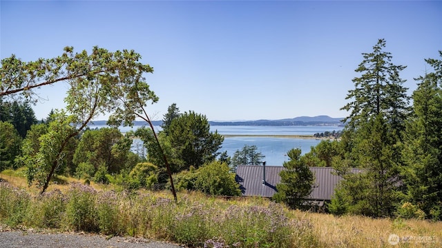 295 Rum Runner Rd, Lopez Island, WA 98261 - photo 22