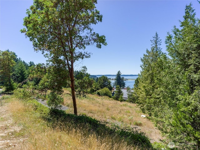 295 Rum Runner Rd, Lopez Island, WA 98261 - photo 23
