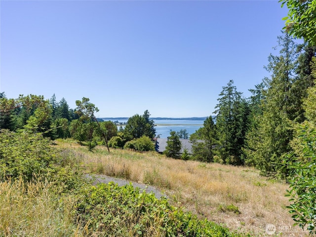 295 Rum Runner Rd, Lopez Island, WA 98261 - photo 24