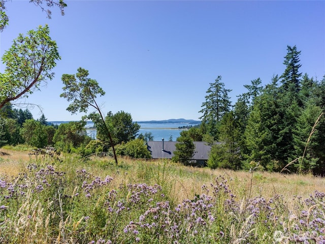 295 Rum Runner Rd, Lopez Island, WA 98261 - photo 25